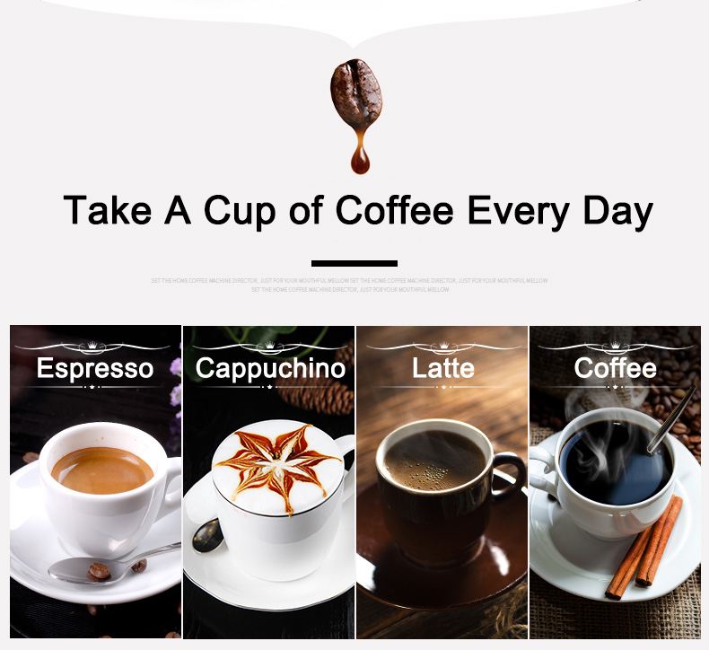 230/110V 1300W 4 Languages Esp - đánh giá và giá Coffee & Tea Difabis