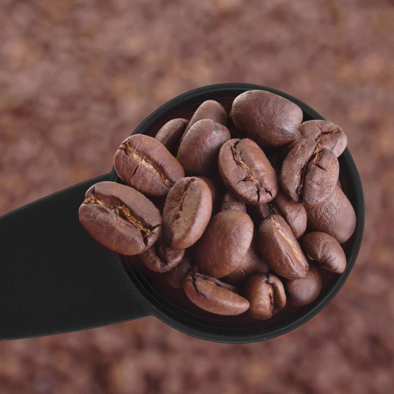 5Pcs Measure Spoon Long Handle - đánh giá và giá Coffee Tea Spoon